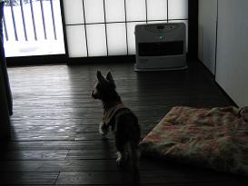 正月旅行 ( momo&mimi )_d0092605_14401665.jpg
