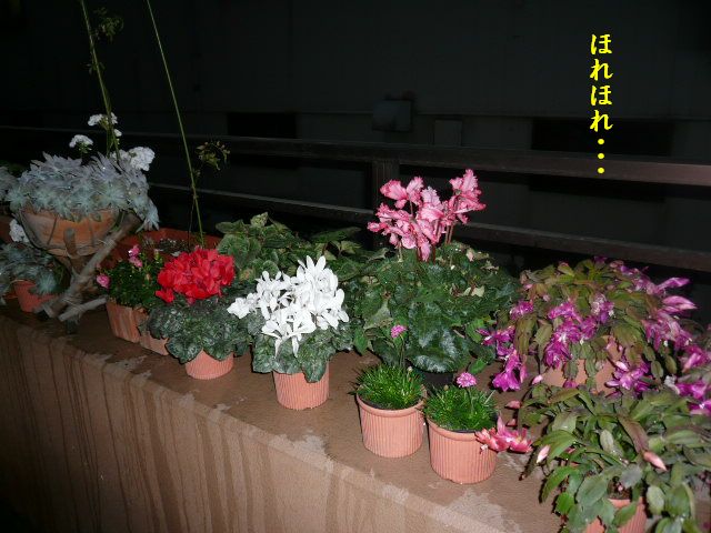 e0094407_23215520.jpg