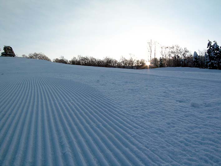 c0078410_23175327.jpg