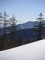 d0013610_1616145.jpg