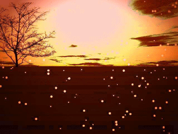 a0055913_2359197.gif