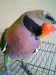 c0133013_02755.jpg