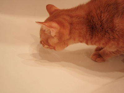 c0145016_201110.jpg