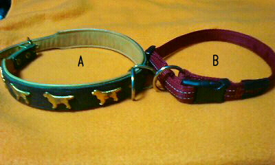 c0138720_2342377.jpg