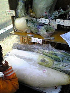 e0121228_2158411.jpg