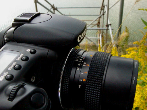 玄人専科】名レンズと共に歩く(23)~Distagon T* 25mm/f2.8 玄人専科】名レンズと共に歩く(23)~Distagon T* 25mm/f2.8