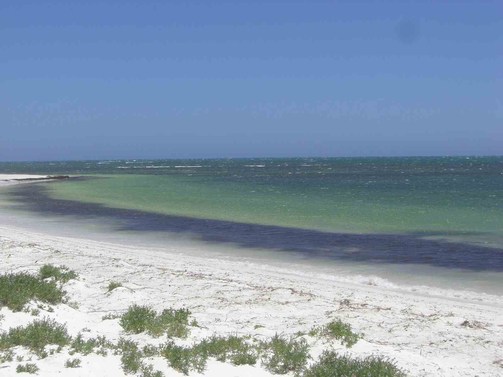 c0119242_23633100.jpg