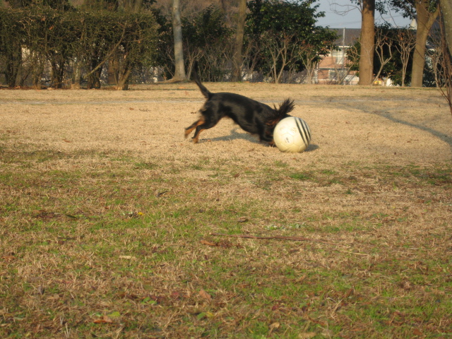 a0101958_17551129.jpg