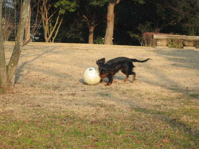 a0101958_17555276.jpg