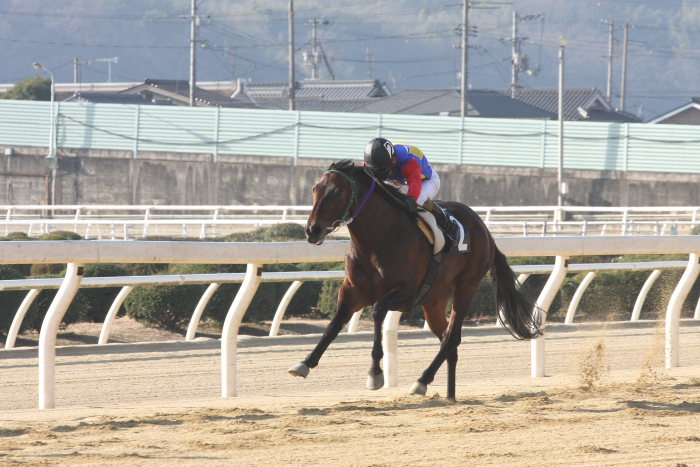 福山・こうちスタージョッキーシリーズ 第三戦 その2_a0077663_1757587.jpg