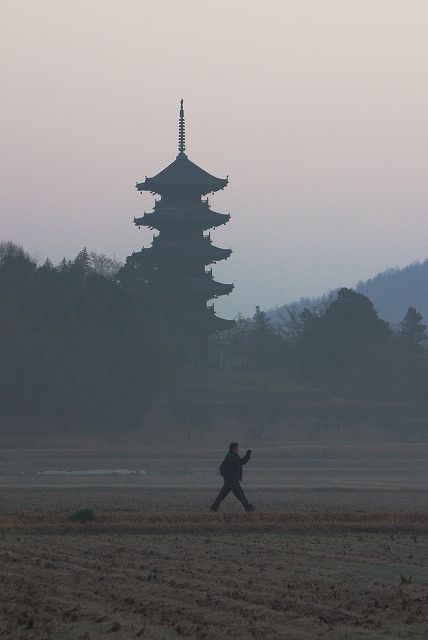 今朝も国分寺_c0135381_21181463.jpg