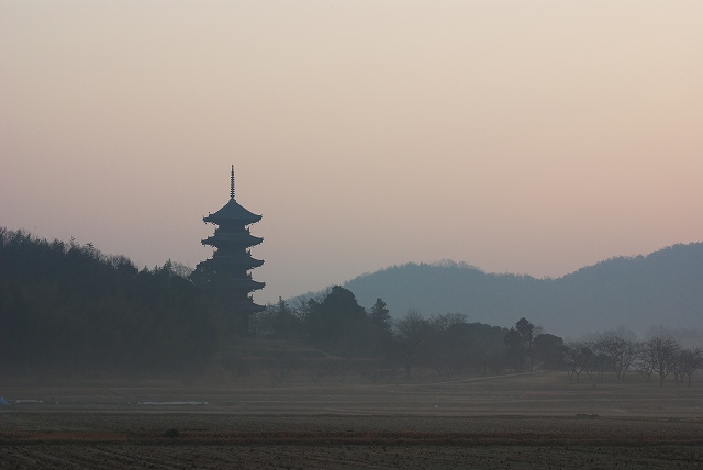 今朝も国分寺_c0135381_21184670.jpg