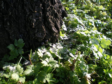 c0124619_71418.jpg