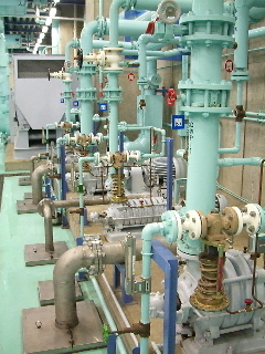 c0046030_0392674.jpg