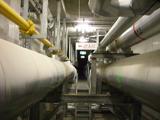 c0046030_046399.jpg