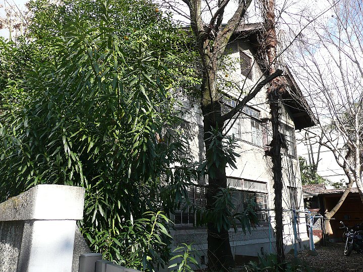 c0094541_10335539.jpg