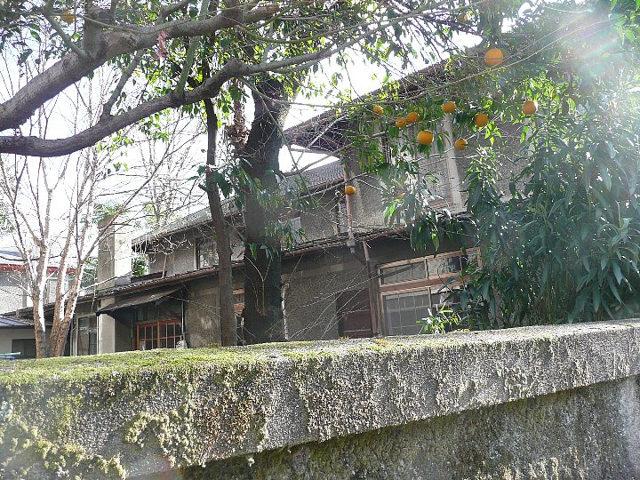 c0094541_10352316.jpg