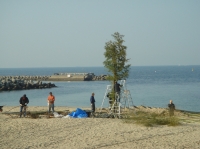 c0108460_20103863.jpg