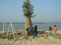 c0108460_2011104.jpg
