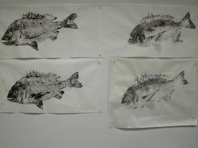 皇帝君年無し魚拓 題字入れ完成 されどチヌ