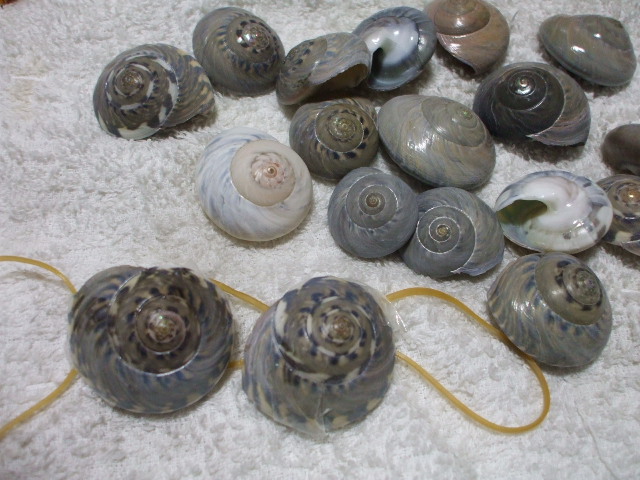 c0138868_20342342.jpg