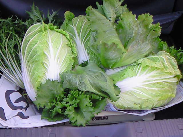 f0146768_15131166.jpg