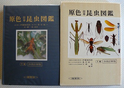 中国長翅目昆虫原色図鑑 長翅目