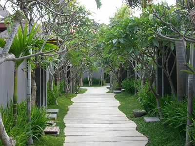 b0101284_2091314.jpg
