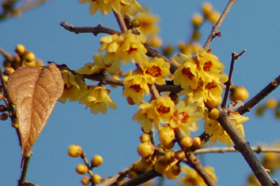 c0047589_23164168.jpg