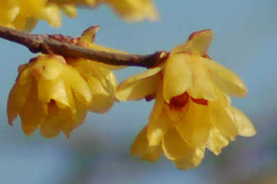 c0047589_2317561.jpg