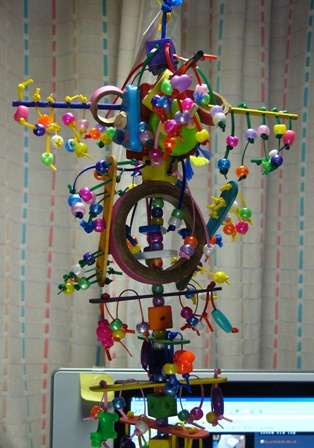c0118496_2181230.jpg