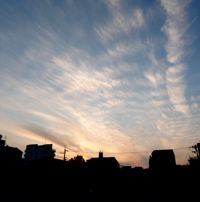 f0146198_594013.jpg