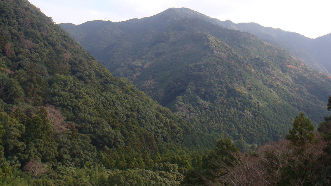 和歌山の温泉・・・山奥の_f0138304_1322457.jpg