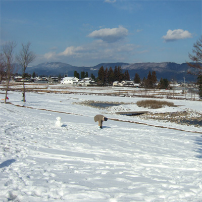 AZUMINO YUKIGESHIKI_e0126308_22414556.jpg