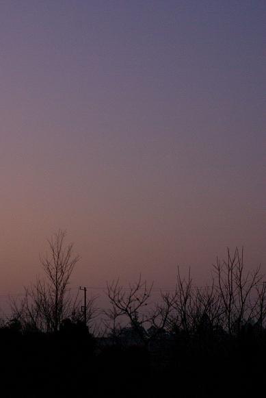 f0155808_1111551.jpg