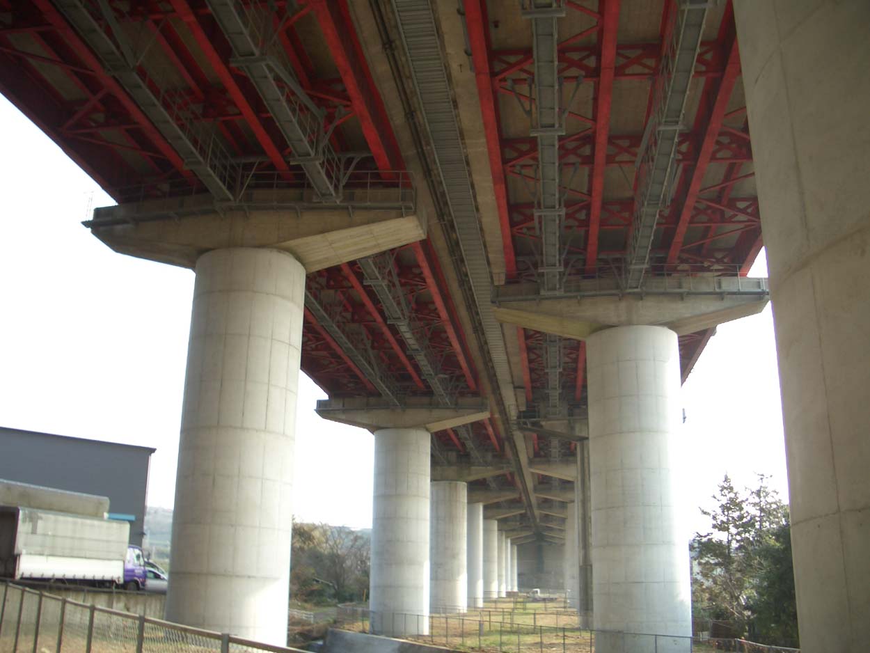 一万歩　古代遺跡と豊かな実りの浮島コース_f0141310_23553097.jpg