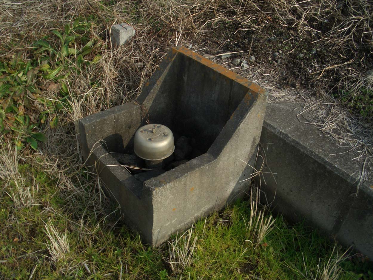 一万歩 古代遺跡と豊かな実りの浮島コース_f0141310_2357373.jpg