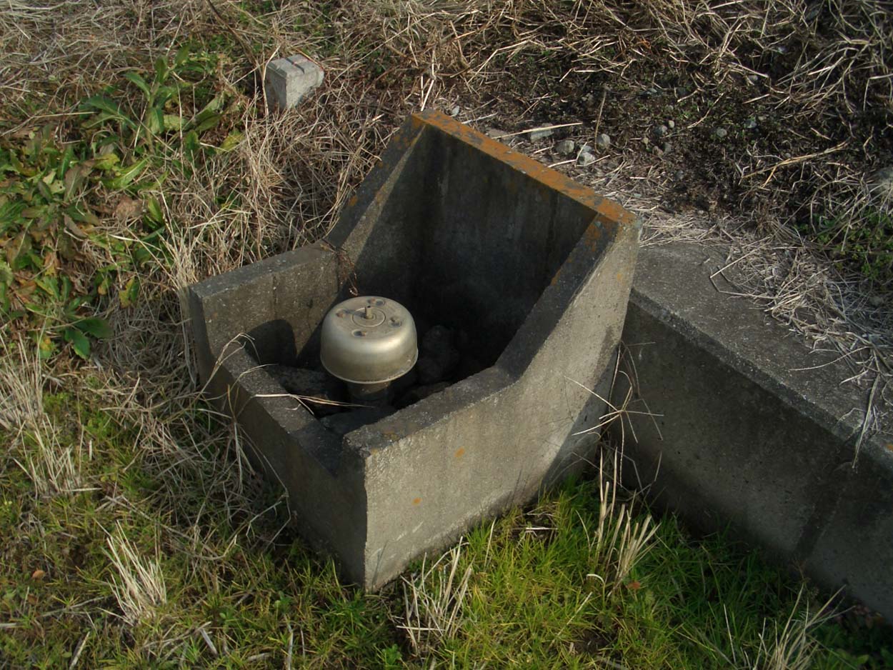 一万歩　古代遺跡と豊かな実りの浮島コース_f0141310_2357373.jpg