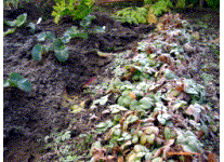e0115811_21595546.gif