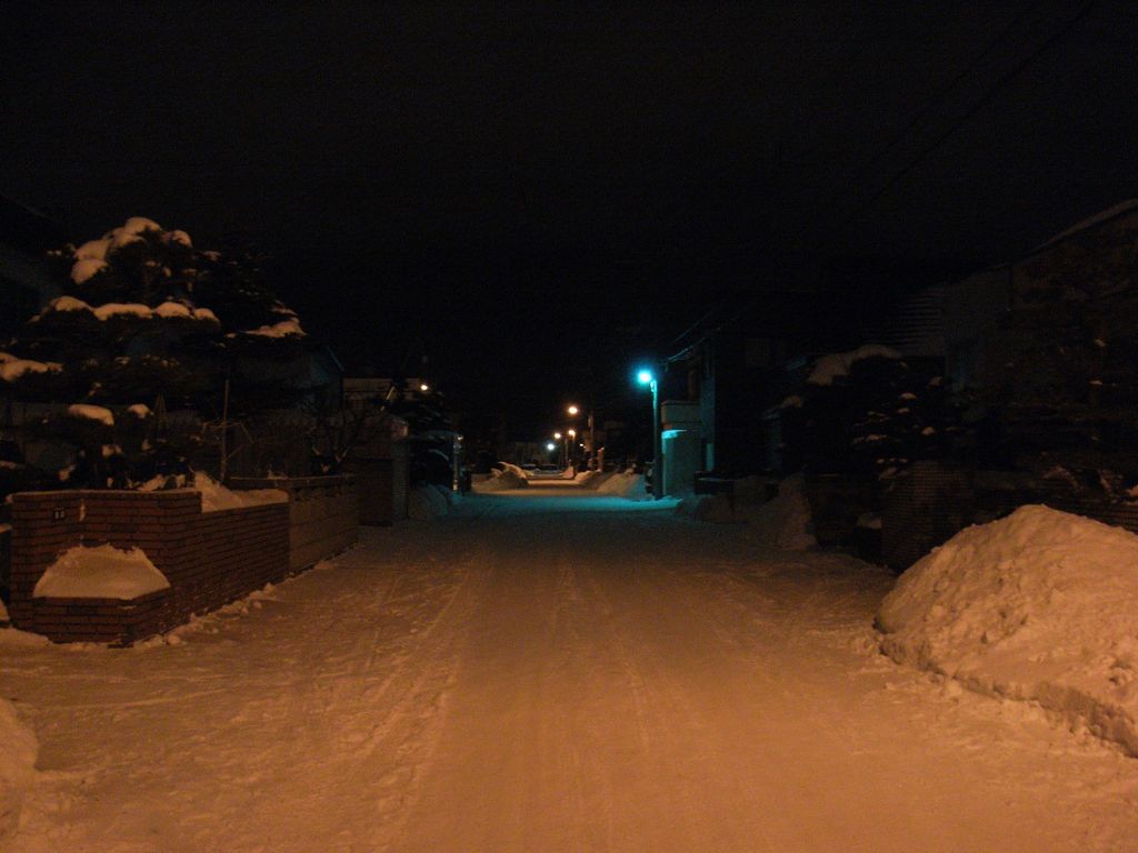 冷凍庫状態の札幌_c0025115_019021.jpg