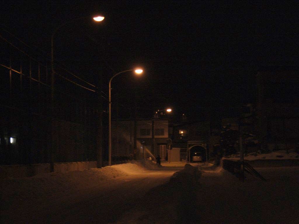冷凍庫状態の札幌_c0025115_04136.jpg