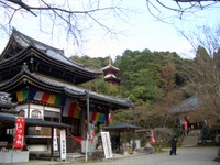 泉涌寺七福神　vol.3 運命の再会_e0008223_23161622.jpg