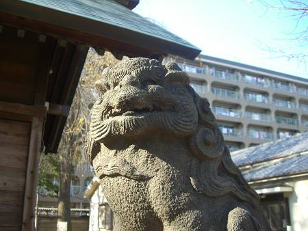 E区の狛犬　本一色　天祖神社_d0065324_2016926.jpg