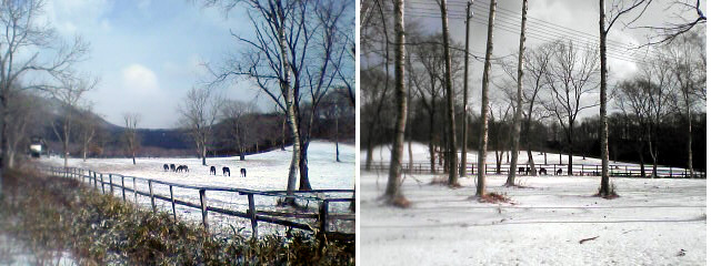 e0037129_22182122.jpg