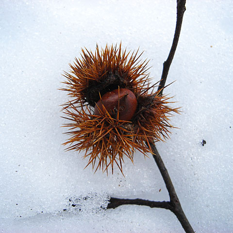 c0067040_22573429.jpg