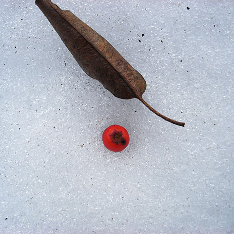 c0067040_237457.jpg