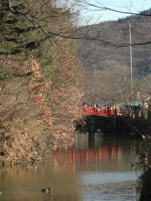 e0019442_04556.jpg