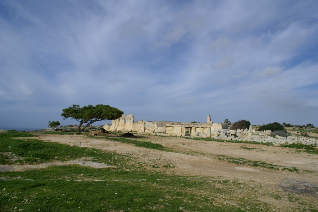 マルタバスでの島巡り。　in Malta_c0105551_10233428.jpg