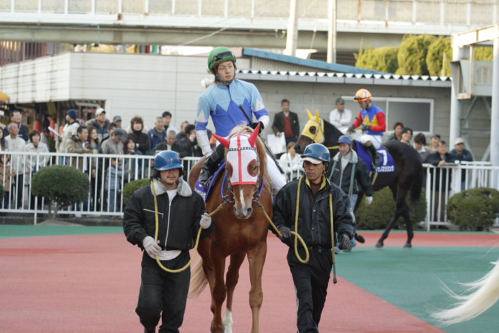 福山アラブ大賞典 その1_a0077663_18144068.jpg