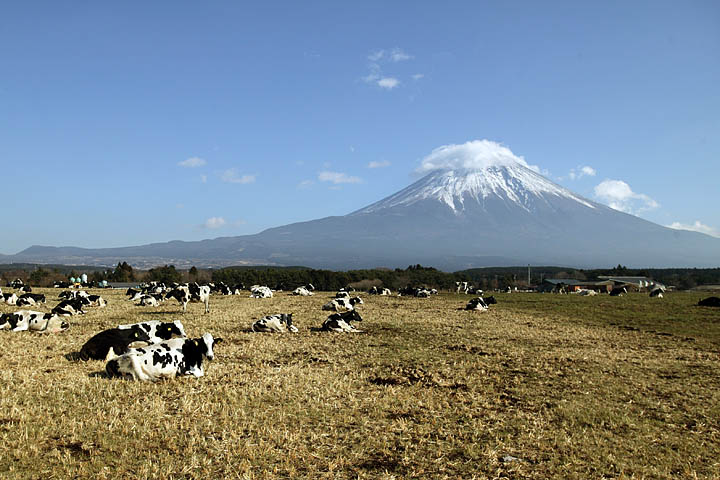 FUJISAN_d0073765_21251936.jpg